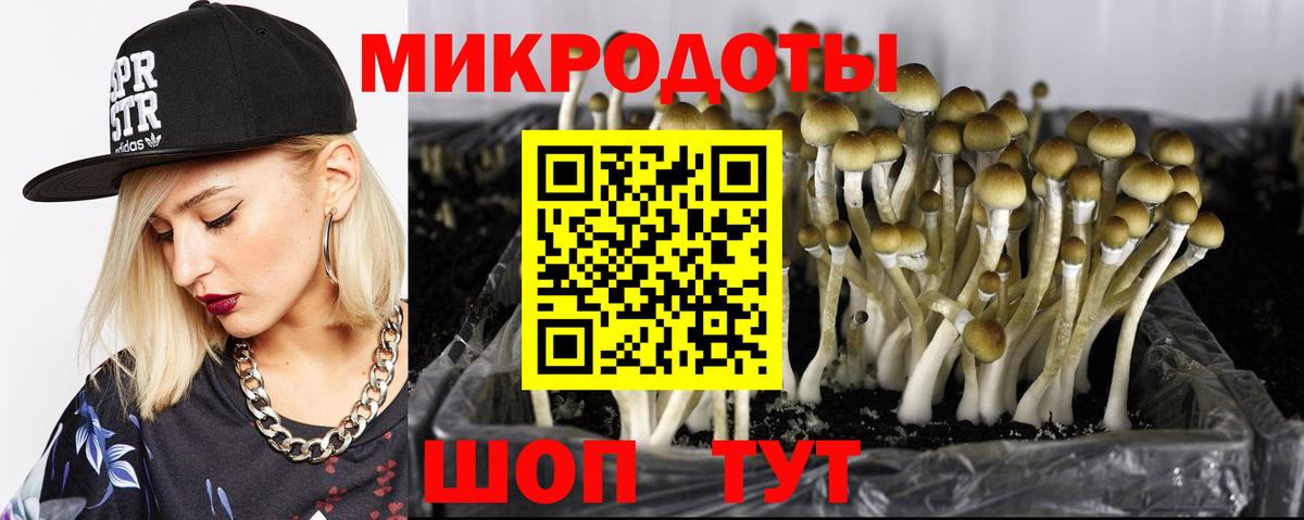 Псилоцибиновые грибы GOLDEN TEACHER Смоленск