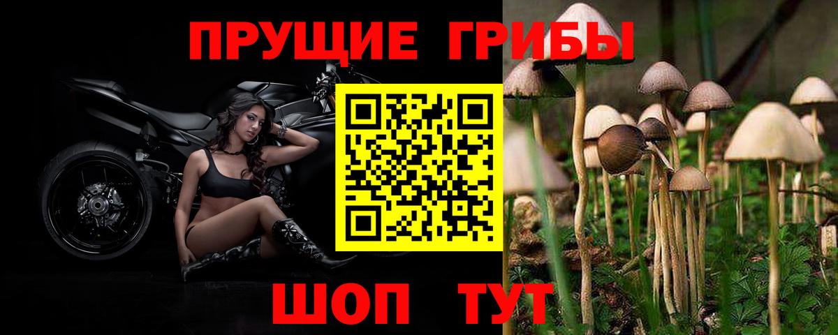 Псилоцибиновые грибы Psilocybine cubensis  Вход с VPN  Смоленск 